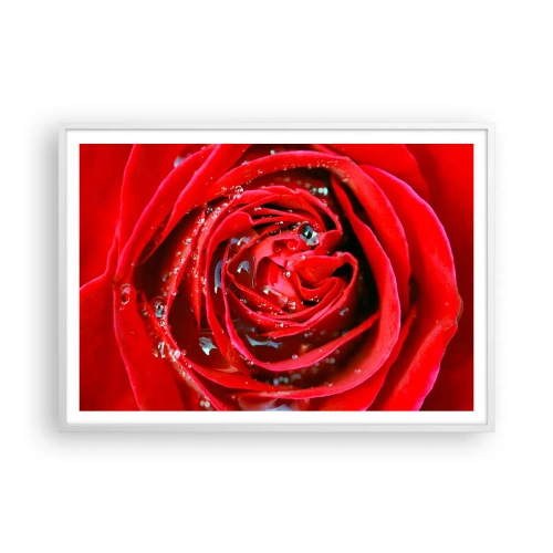 Poster in een witte lijst - In de dauwdruppels - 100x70 cm