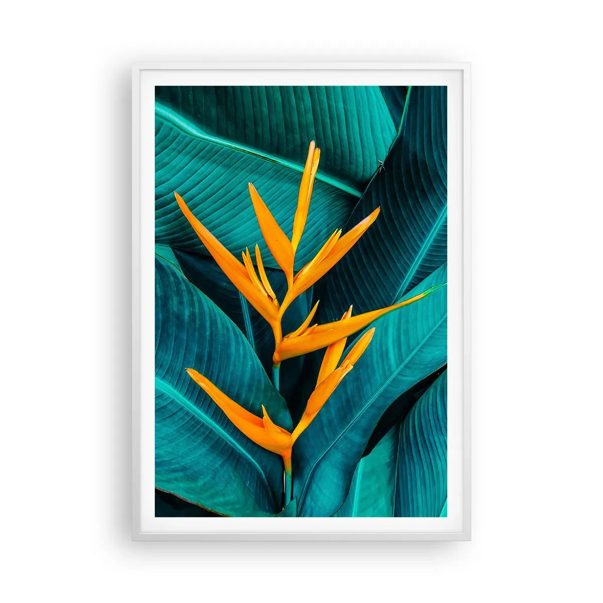 Poster in een witte lijst - Eden bloem - 70x100 cm