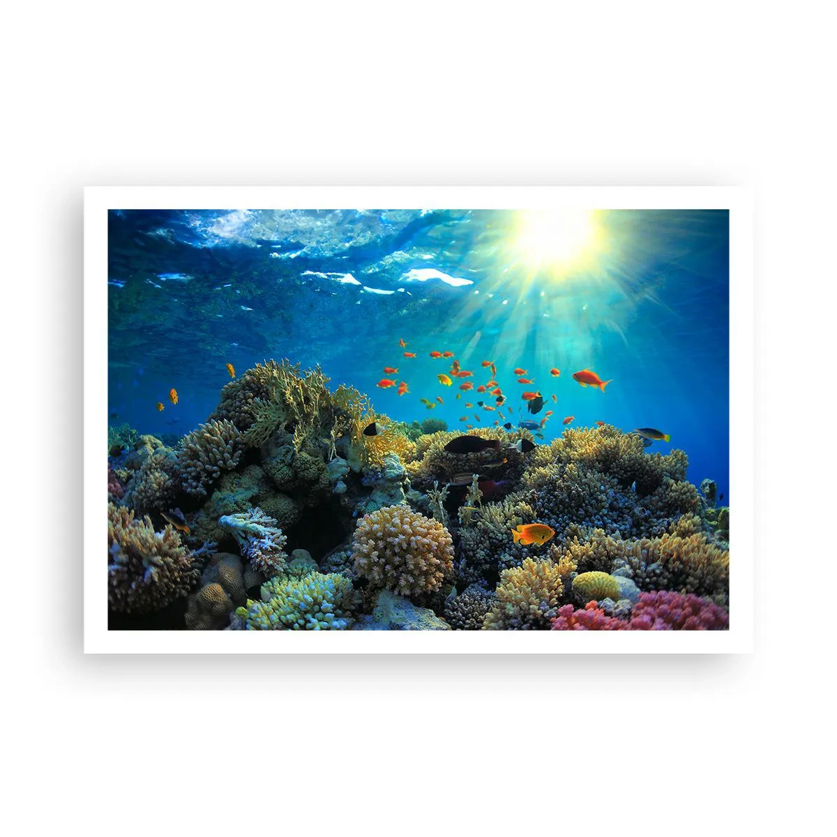Poster - Onderwater schatten - 100x70 cm