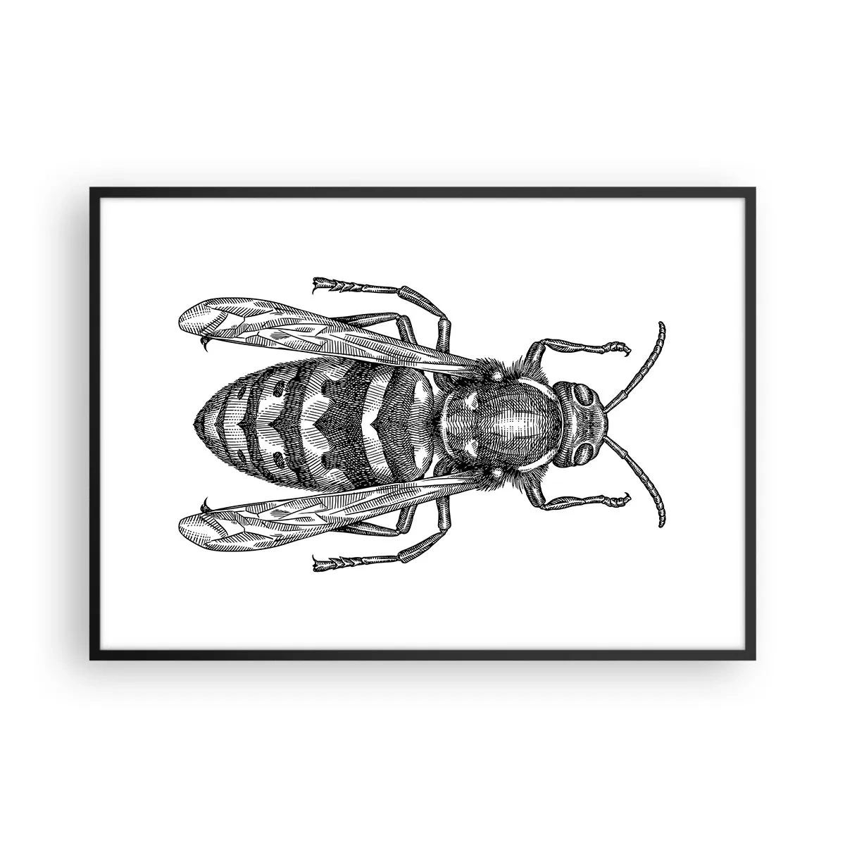 Poster in een zwarte lijst - Van een insectenplaneet - 100x70 cm