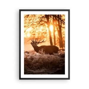 Poster in een zwarte lijst - Herten in de stralen van de opkomende zon tegen de achtergrond van het bos - 50x70cm - De droom van een jager - Moderne wanddecoratie voor woonkamer en slaapkamer ARTTOR