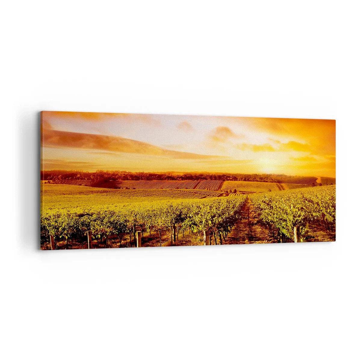 Schilderen op canvas - Licht fruitig met een vleugje zonneschijn - 120x50 cm