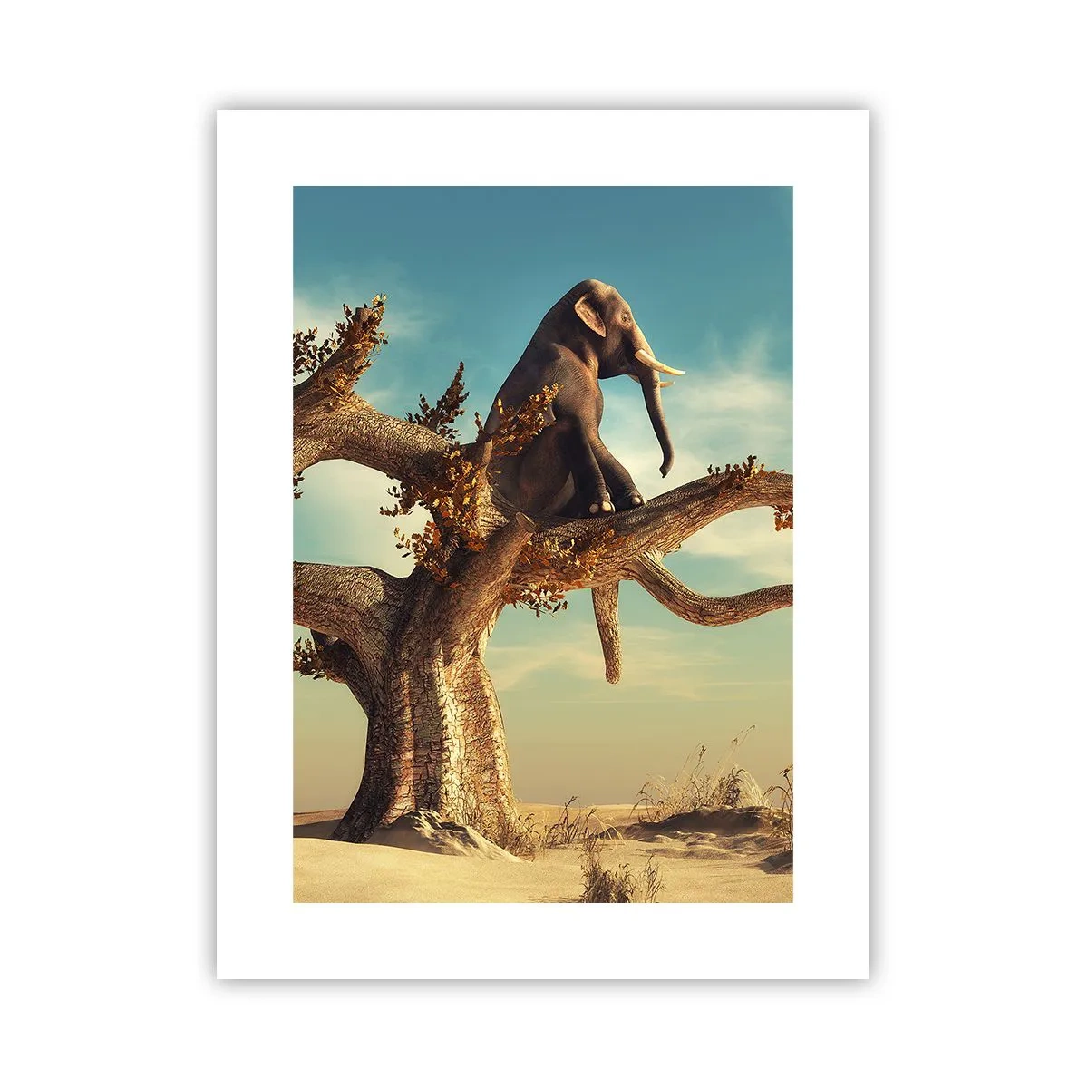 Poster - Een nieuw gezichtspunt - 30x40 cm