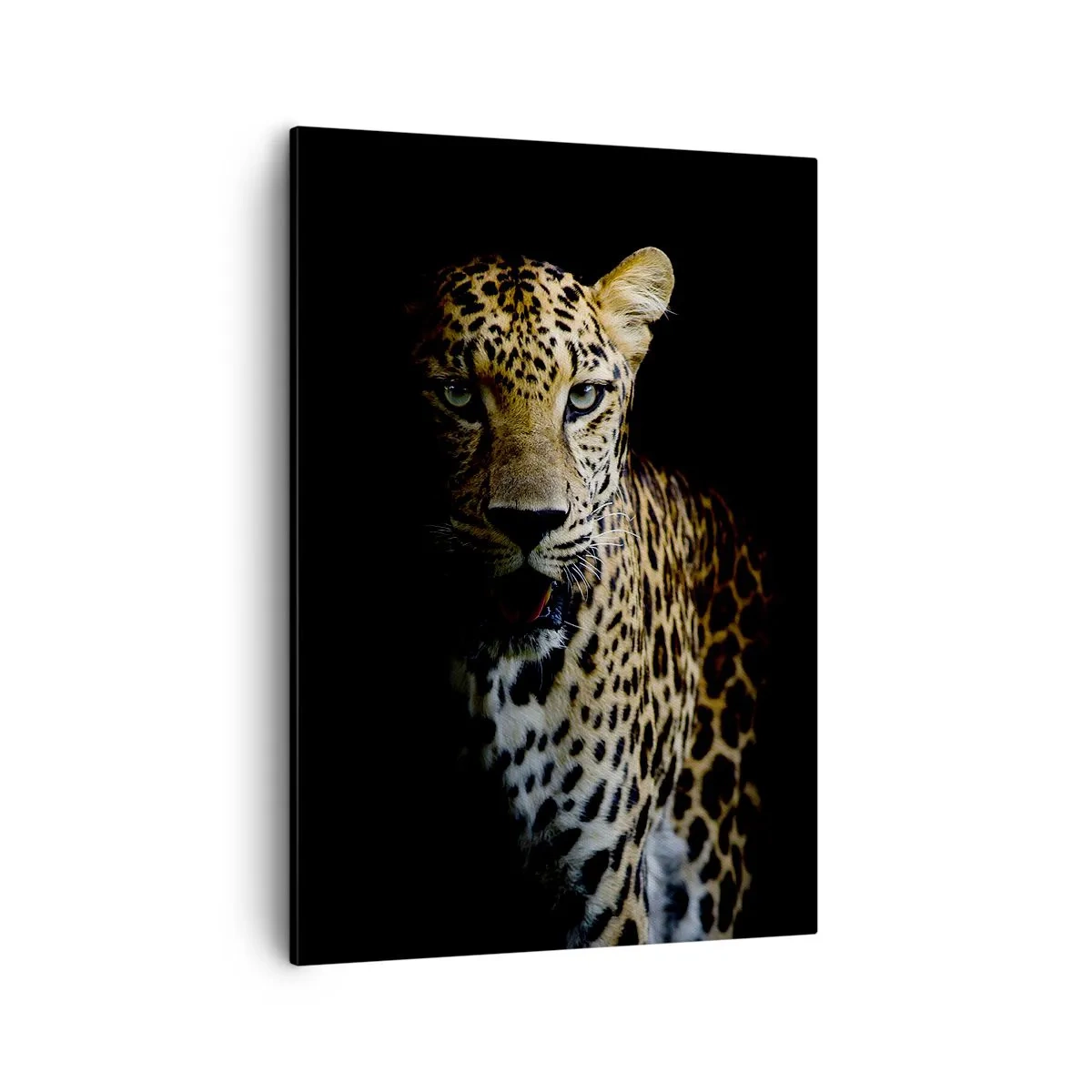Schilderen op canvas - Donkere schoonheid - 50x70 cm