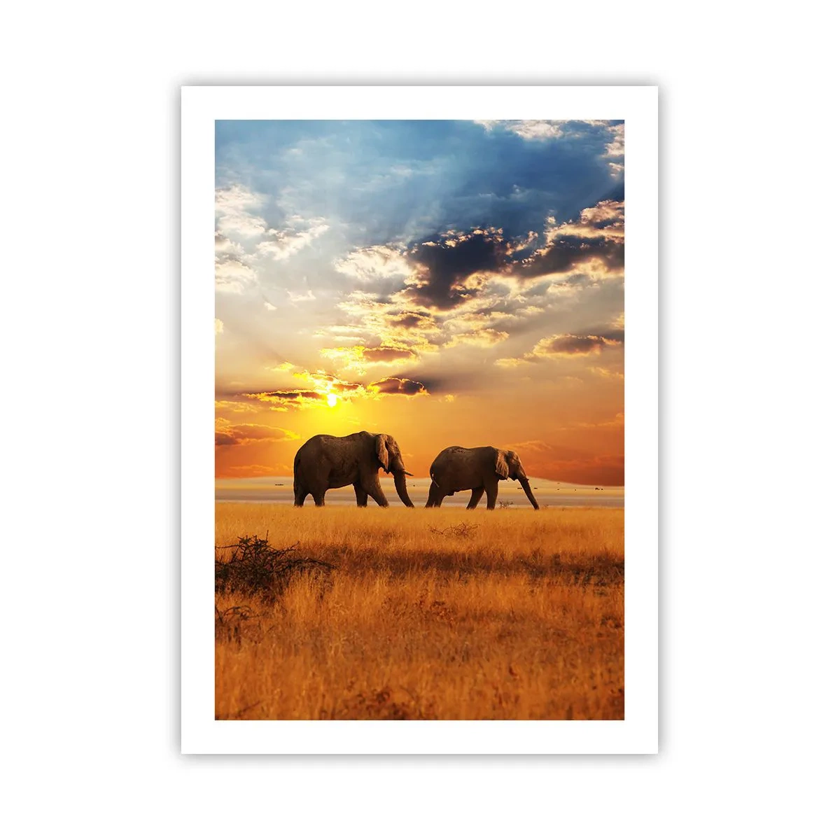 Poster - Familie wandeling - 50x70 cm
