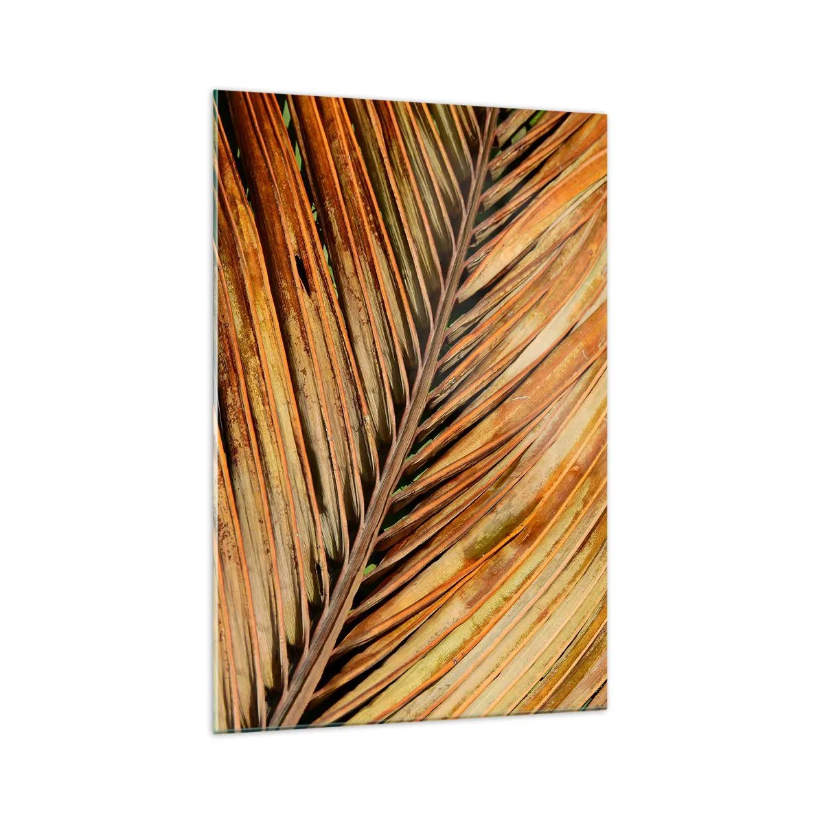 Schilderen op glas - Kokos goud - 70x100 cm