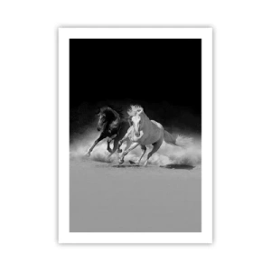 Poster - Vrijheidsgalop - 50x70 cm