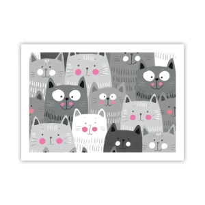Poster - De wereld van de kat - 70x50 cm