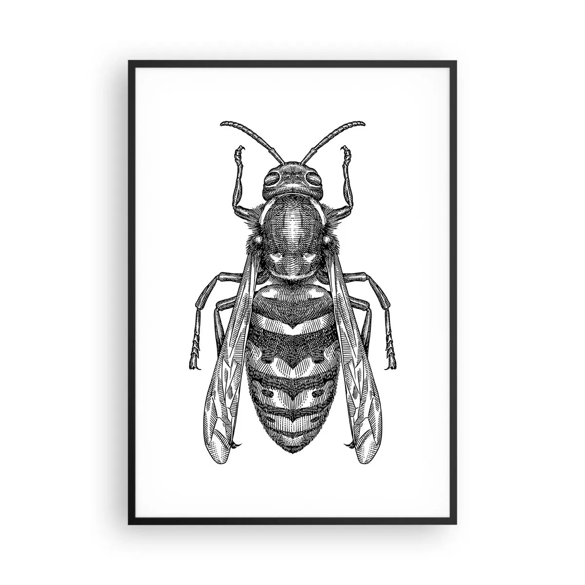 Poster in een zwarte lijst - Van een insectenplaneet - 70x100 cm
