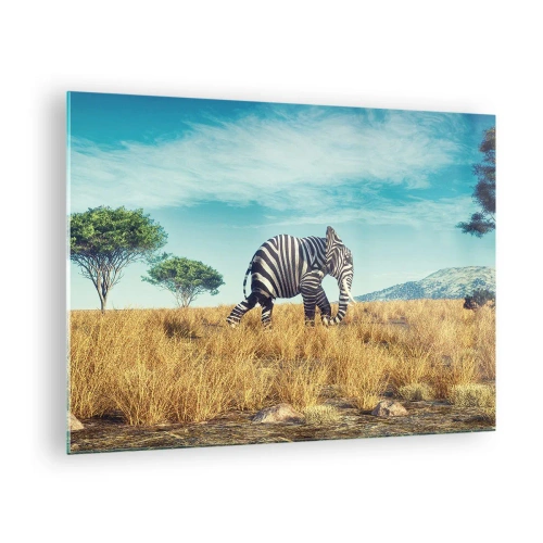 Schilderen op glas - Een olifant met zebrastrepen op de savanne onder de hemel - 70x50cm - Grijs is niet meer in de mode - Moderne wanddecoratie voor woonkamer en slaapkamer ARTTOR