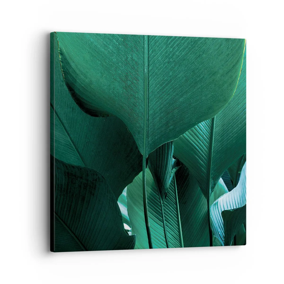 Schilderen op canvas - Naar het licht gekeerd - 30x30 cm