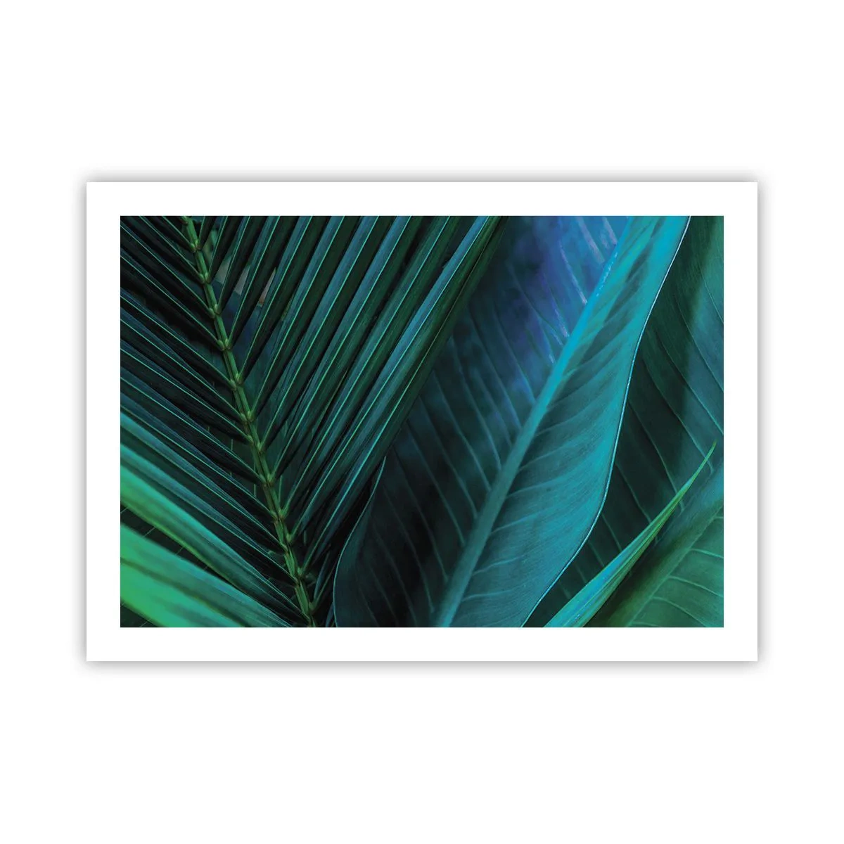 Poster - De anatomie van groen - 70x50 cm