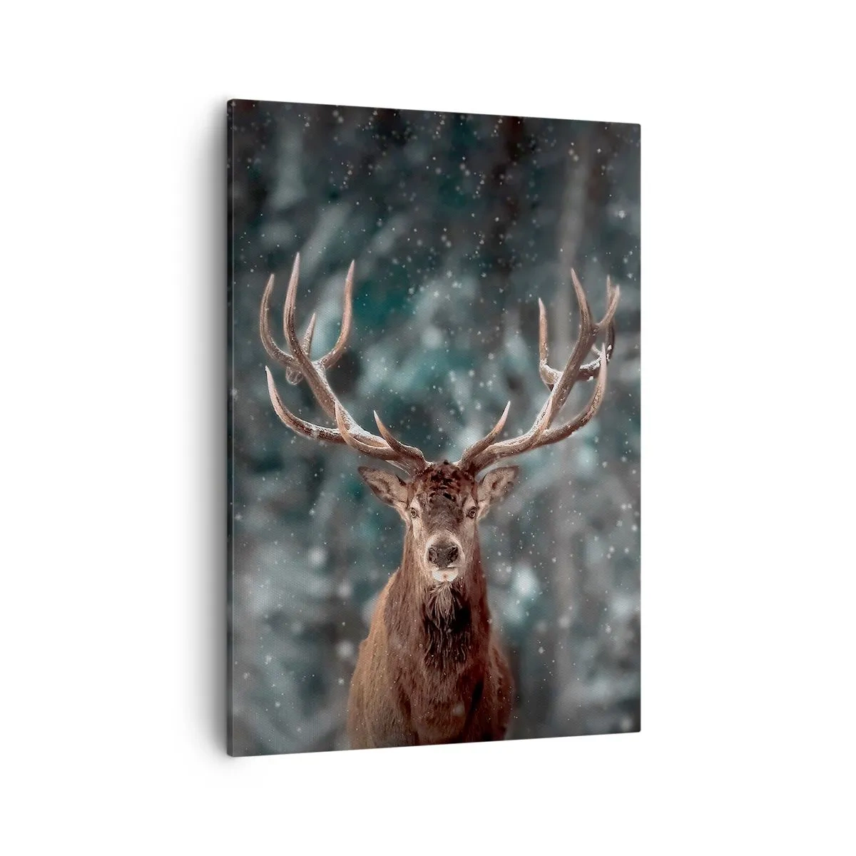 Schilderen op canvas - Gekroond tot koning van het bos - 50x70 cm