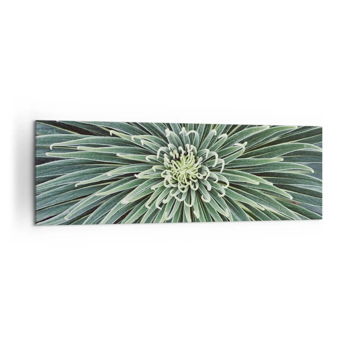 Schilderen op canvas - Een ster is geboren - 160x50 cm