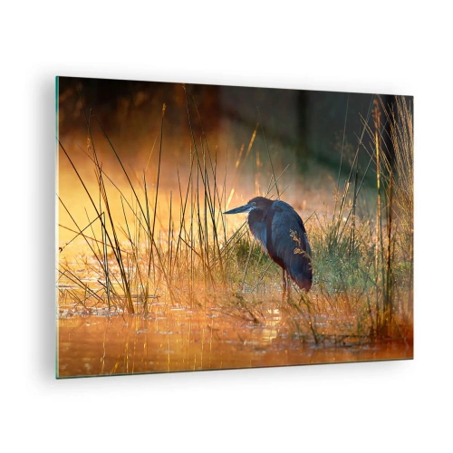 Schilderen op glas - Zonsondergang boven een meer met een reiger - 70x50cm - Kom op, geef me een pauze met deze foto's - Moderne wanddecoratie voor woonkamer en slaapkamer ARTTOR
