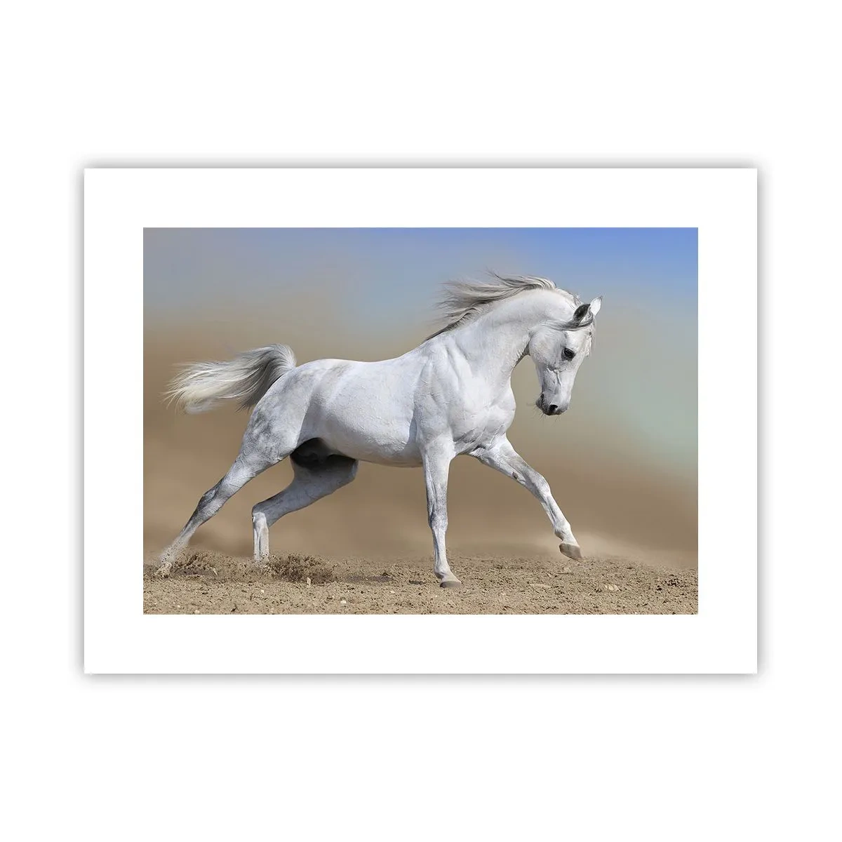 Poster - Het mooiste Arabische sprookje - 40x30 cm