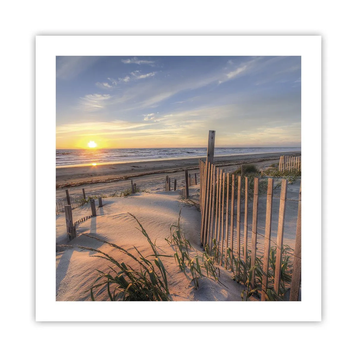 Poster - Glans en schaduw van de wind - 50x50 cm