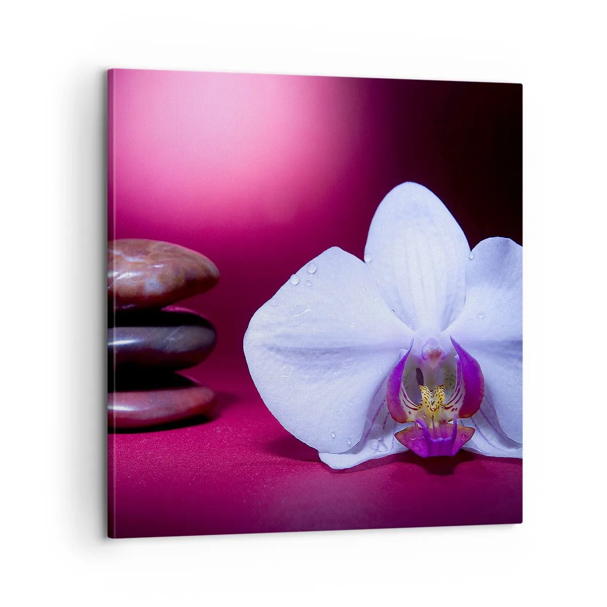 Schilderen op canvas - Een studie van versheid in paars - 60x60 cm