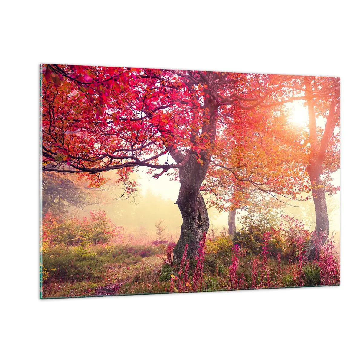 Schilderen op glas - Bloeiende razernij - 120x80 cm