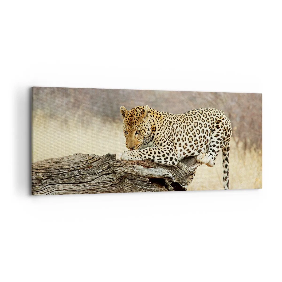 Schilderen op canvas - Ik ga mijn eigen weg - 120x50 cm