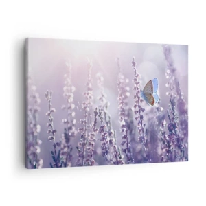 Schilderen op canvas - Een vlinder op bloeiende lavendel in het ochtendlicht - 70x50cm - Vlinder kus - Moderne wanddecoratie voor woonkamer en slaapkamer ARTTOR