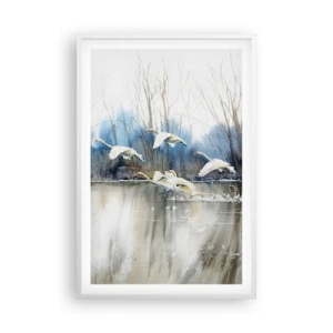 Poster in een witte lijst - Zoals in het sprookje over wilde zwanen - 61x91 cm