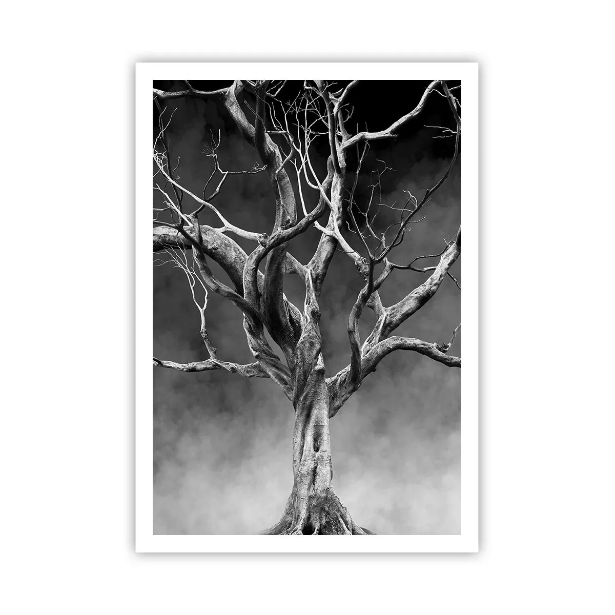 Poster - Oorspronkelijk en heilig - 70x100 cm