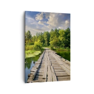 Schilderen op canvas - Zomer, zomer overal - 50x70 cm