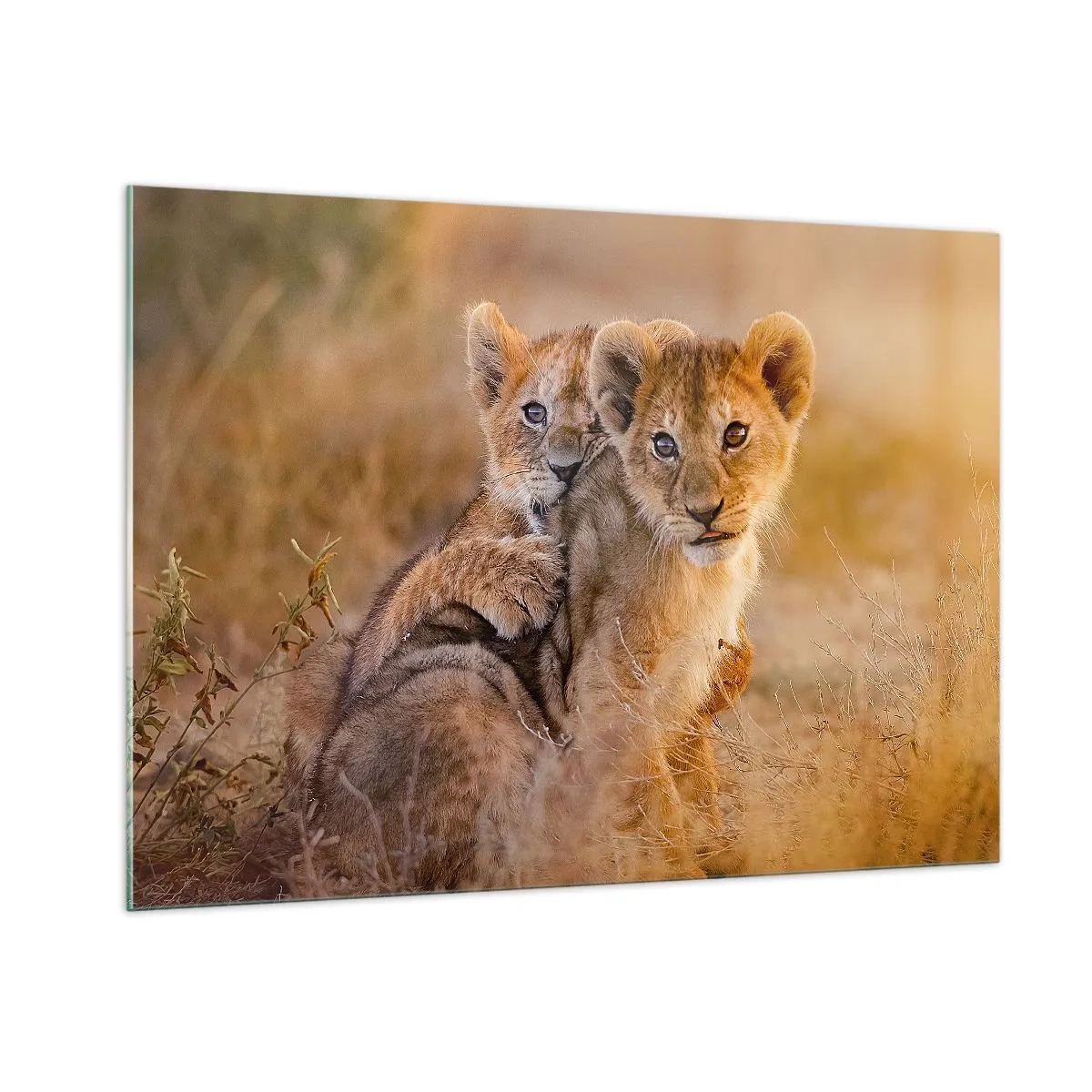 Schilderen op glas - Niet storen! We hebben plezier - 100x70 cm