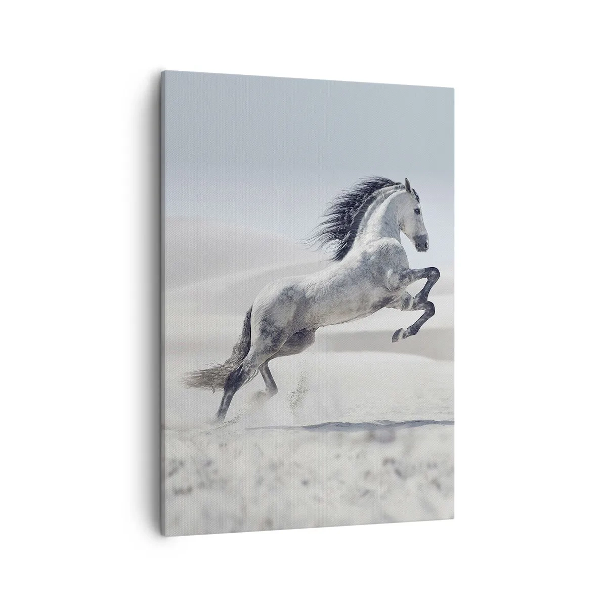 Schilderen op canvas - Arabische prins - 50x70 cm