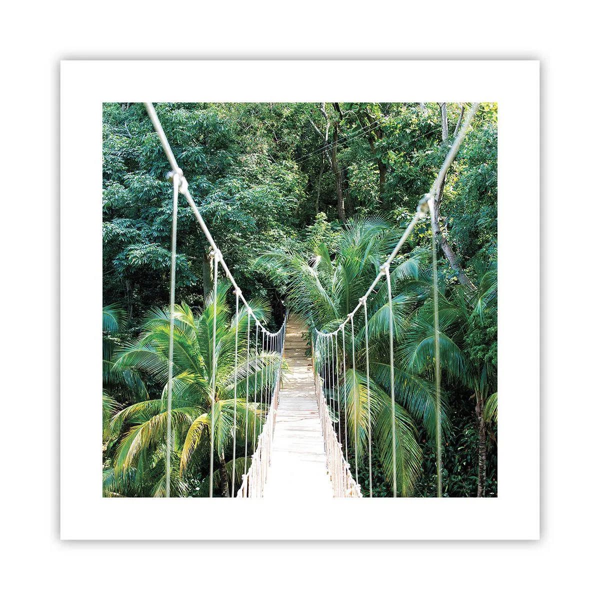 Poster - Welkom in de jungle! - 40x40 cm