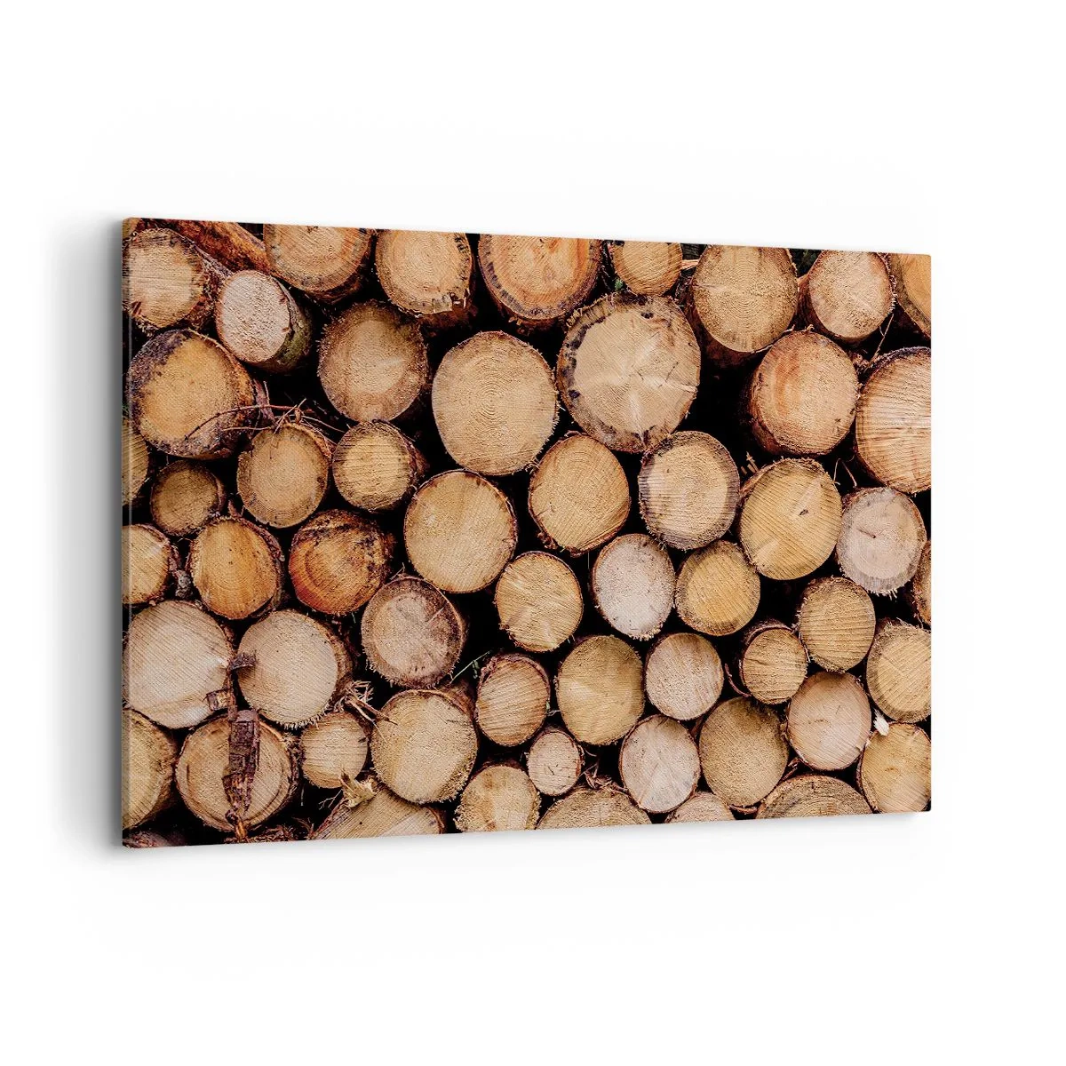 Schilderen op canvas - Een nieuw begin - 120x80 cm