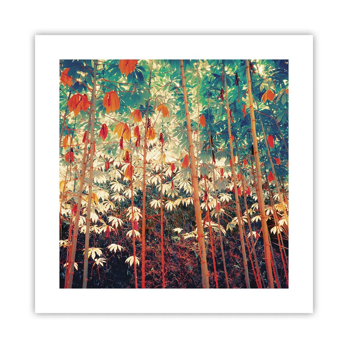 Poster - Het geheime leven van de bladeren - 40x40 cm