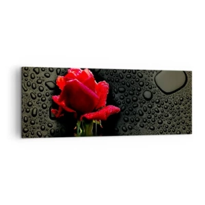 Schilderen op canvas - Rood en zwart - 140x50 cm