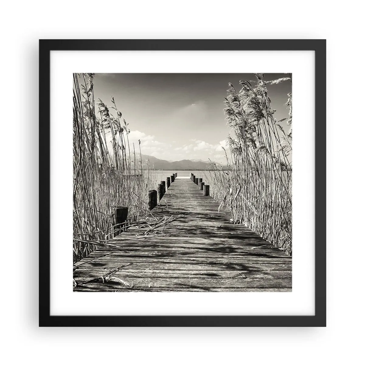 Poster in een zwarte lijst - In de stilte van het gras - 40x40 cm