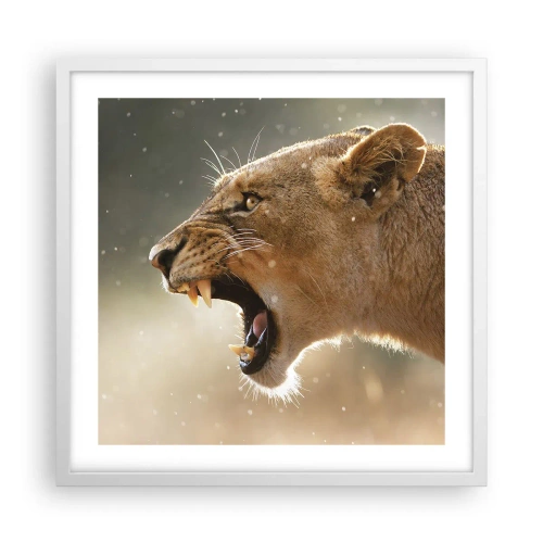 Poster in een witte lijst - Probeer niet te luisteren - 50x50 cm