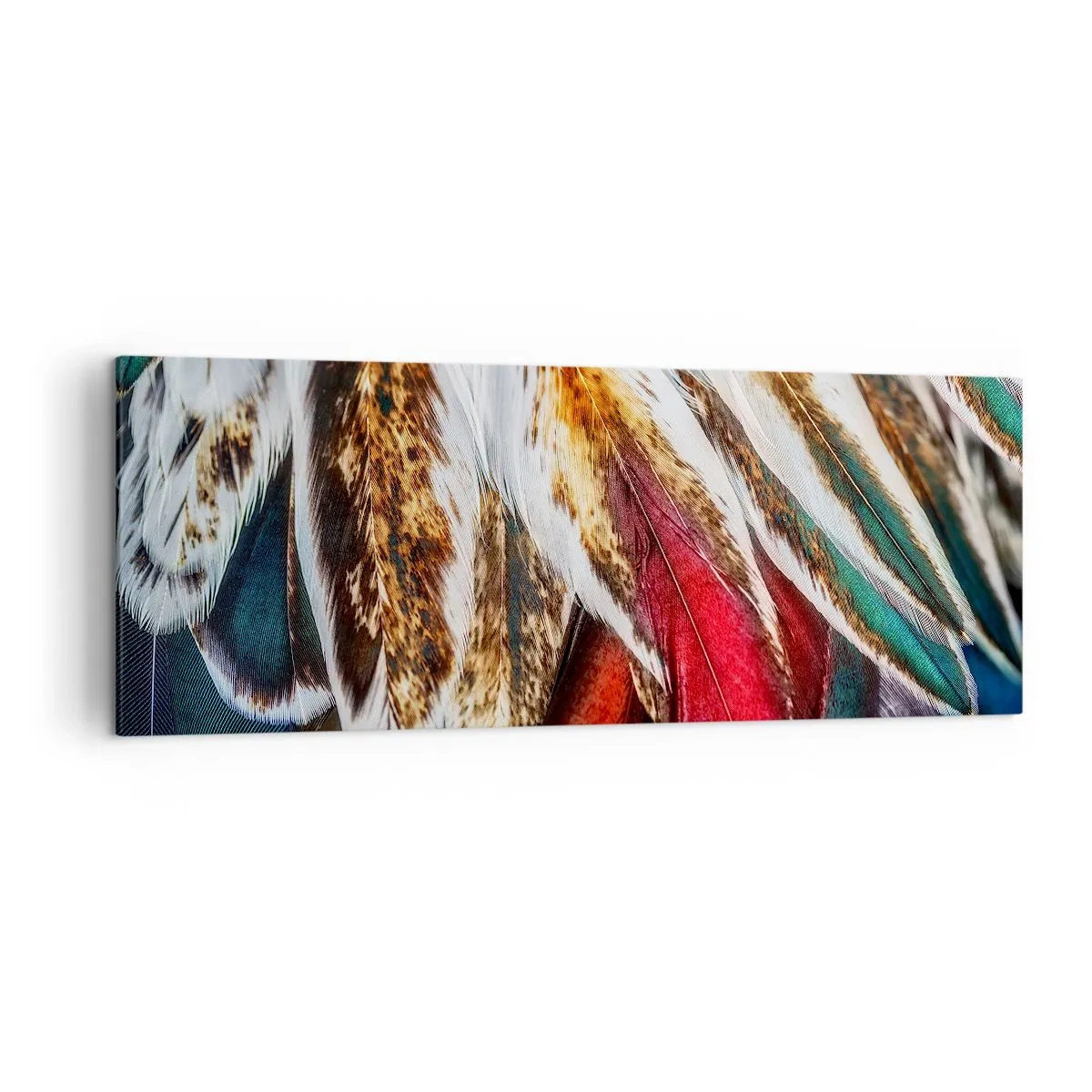 Schilderen op canvas - Geheimen van de vlucht - 140x50 cm