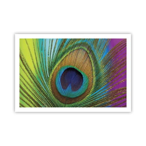 Poster - Oog in oog - 91x61 cm