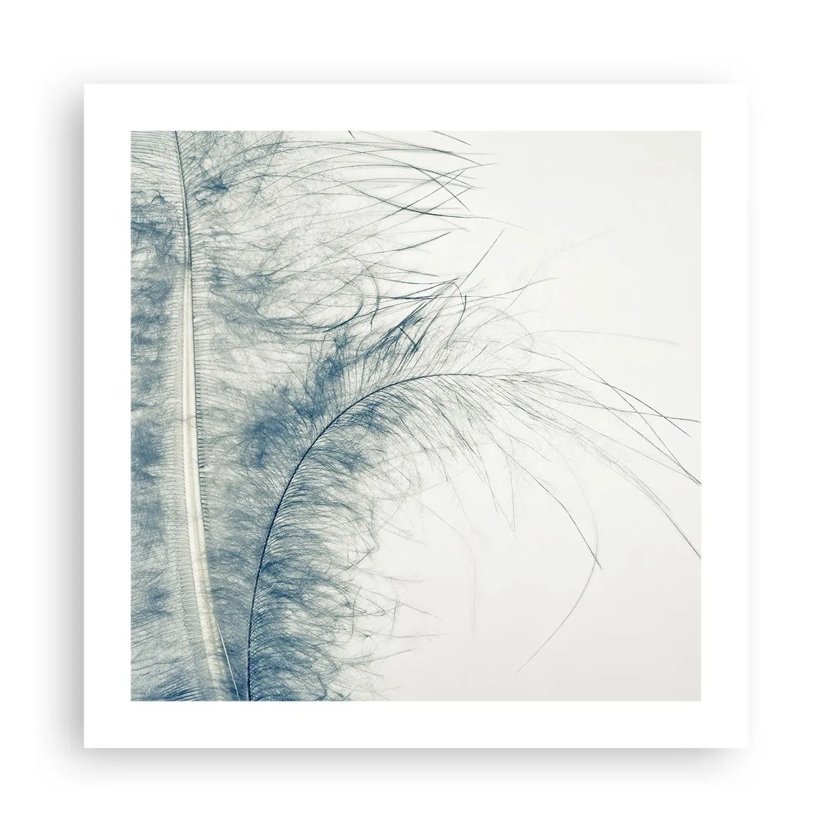Poster - Het gefluister van de natuur - 50x50 cm