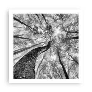 Poster - Race naar het licht - 60x60 cm