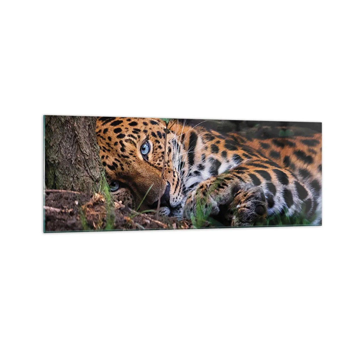 Schilderen op glas - Geloof me - 140x50 cm