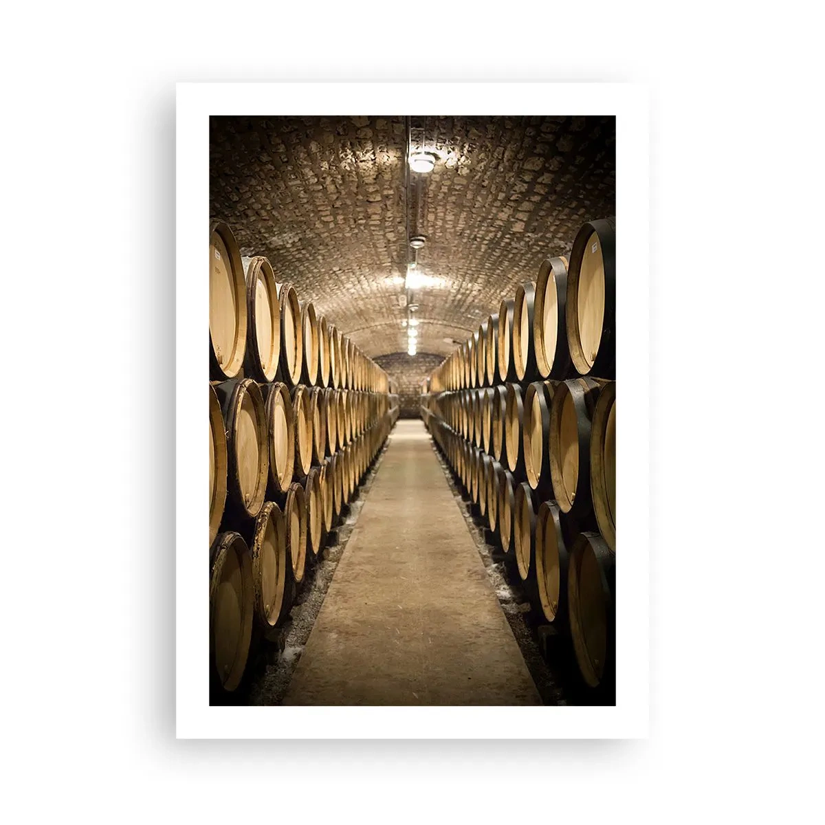 Poster - In een bakstenen kelder - 50x70 cm