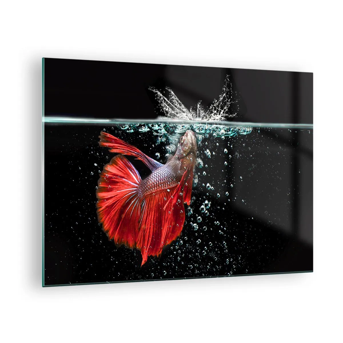 Schilderen op glas - Rode betta in een dynamische watersamenstelling - 70x50cm - Je hebt drie wensen - Moderne wanddecoratie voor woonkamer en slaapkamer ARTTOR