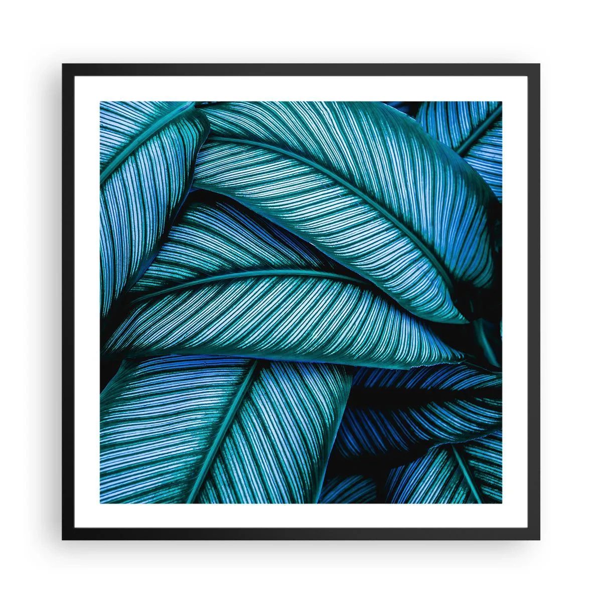 Poster in een zwarte lijst - Levens lijnen - 60x60 cm