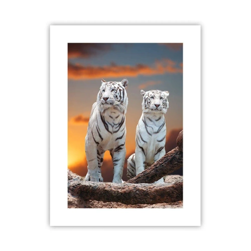 Poster - Net als in Narnia - 30x40 cm