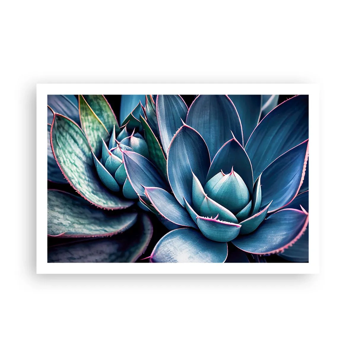 Poster - Levenskracht - 91x61 cm