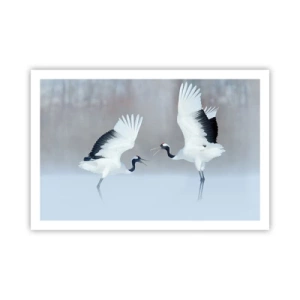 Poster - Dans in de mist - 91x61 cm