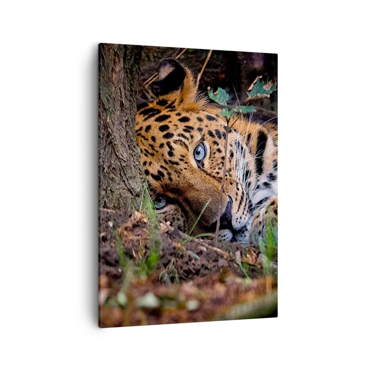 Schilderen op canvas - Geloof me - 50x70 cm