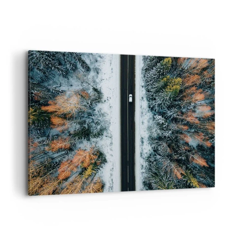 Schilderen op canvas - Snijd door het winterbos - 120x80 cm