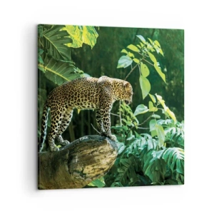 Schilderen op canvas - Op jacht? - 50x50 cm